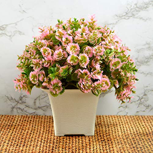 Crystu Beautiful Artificial Bonsai Plant with Pot | Bonsai Tree & Plant | Bonsai Tree for Indoor Office Home Decor Showpiece Pack 0f 1 pc - Image 1