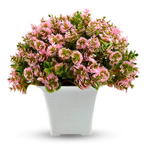 Crystu Beautiful Artificial Bonsai Plant with Pot | Bonsai Tree & Plant | Bonsai Tree for Indoor Office Home Decor Showpiece Pack 0f 1 pc - Image 3