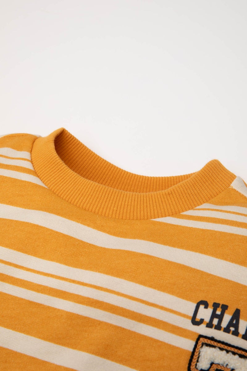 DeFacto Baby Boy Regular Fit Striped Soft Furry Thin Sweatshirt - Image 5