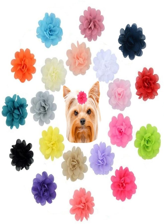 NUOSYI 20PCS Flower Bows Alligator Hair Clips for Cat Dogs Puppy Birds Ducks Horse Chicken Pets Barrettes Party Birthday Grooming Hair Accessories - Image 1