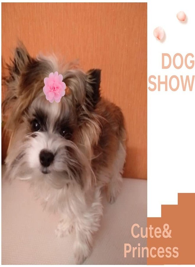 NUOSYI 20PCS Flower Bows Alligator Hair Clips for Cat Dogs Puppy Birds Ducks Horse Chicken Pets Barrettes Party Birthday Grooming Hair Accessories - Image 4