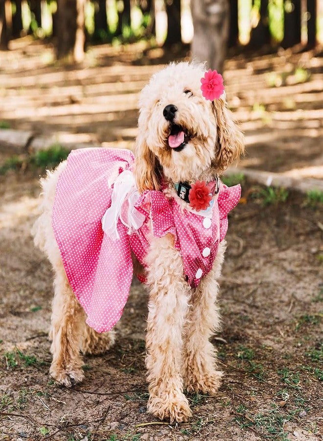 NUOSYI 20PCS Flower Bows Alligator Hair Clips for Cat Dogs Puppy Birds Ducks Horse Chicken Pets Barrettes Party Birthday Grooming Hair Accessories - Image 5
