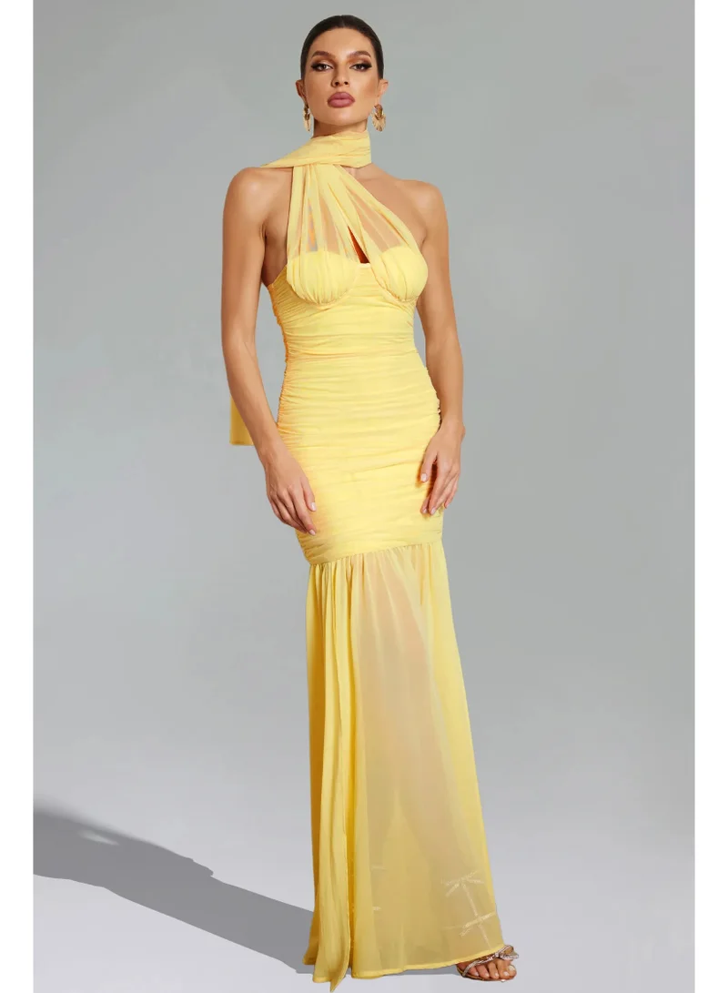 Bella Barnett Ulasa Sleeveless Ruched Mesh Maxi Dress
