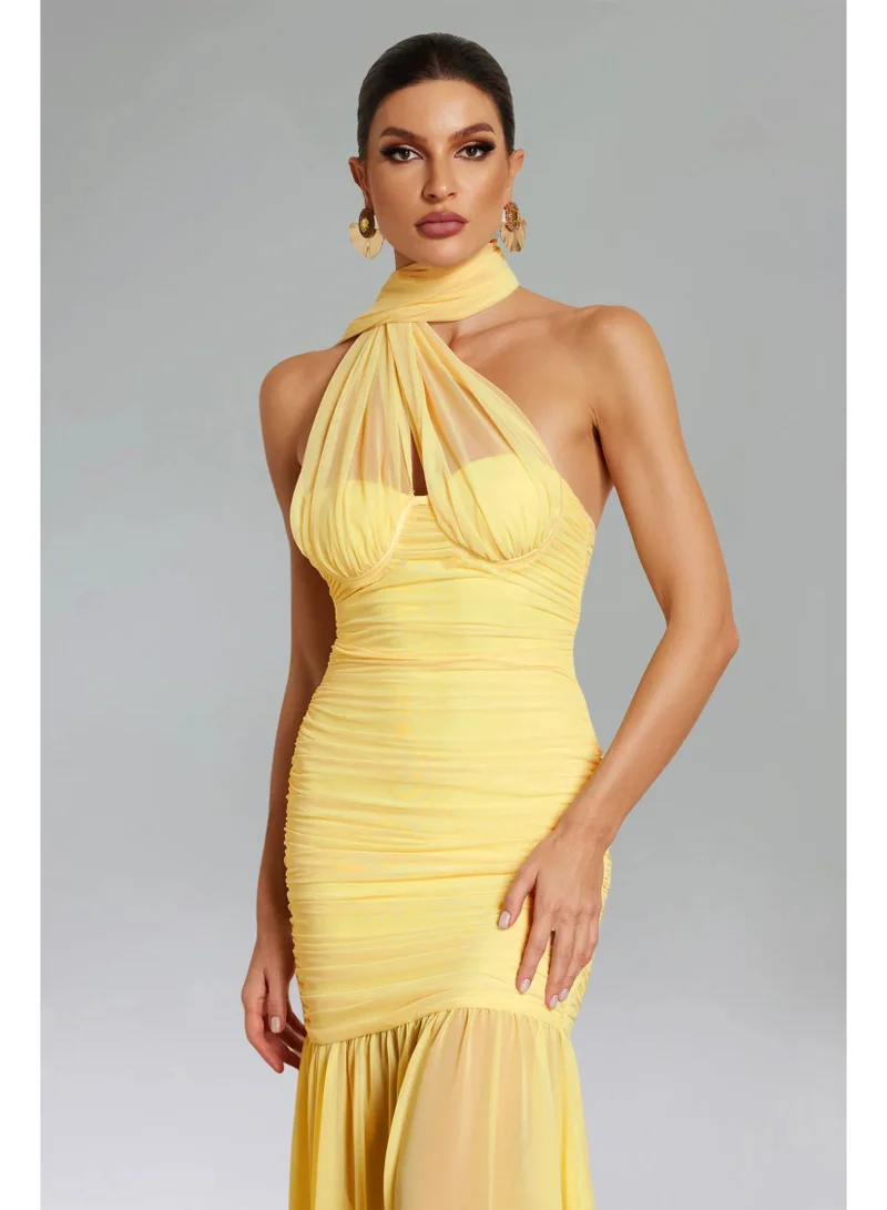 Bella Barnett Ulasa Sleeveless Ruched Mesh Maxi Dress