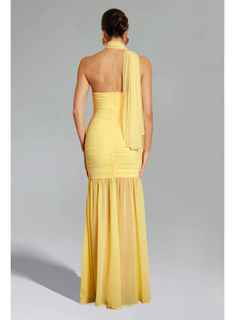 Bella Barnett  Ulasa Sleeveless Ruched Mesh Maxi Dress for Women | Best Price UAE