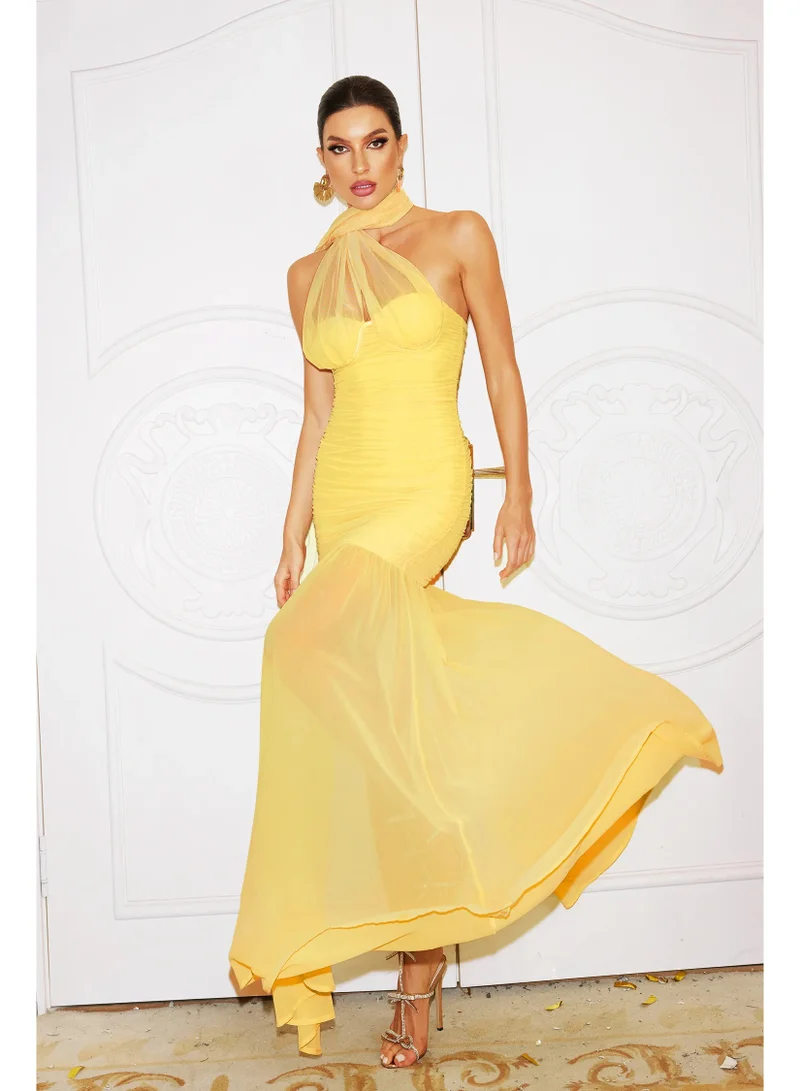 Bella Barnett  Ulasa Sleeveless Ruched Mesh Maxi Dress for Women | Best Price UAE