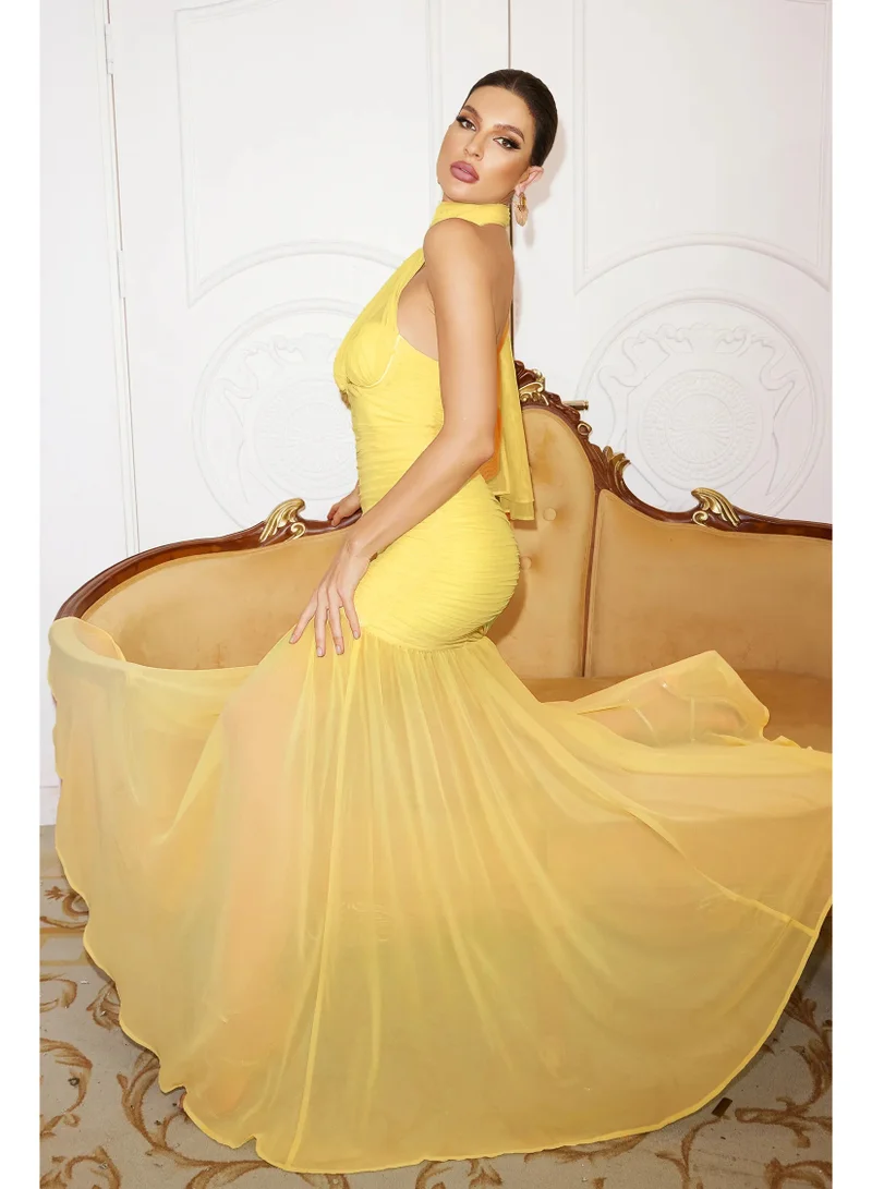 Bella Barnett  Ulasa Sleeveless Ruched Mesh Maxi Dress for Women | Best Price UAE