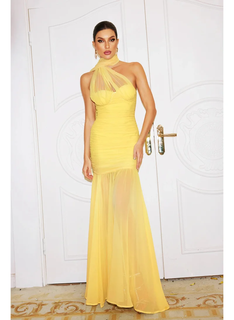 Bella Barnett  Ulasa Sleeveless Ruched Mesh Maxi Dress for Women | Best Price UAE