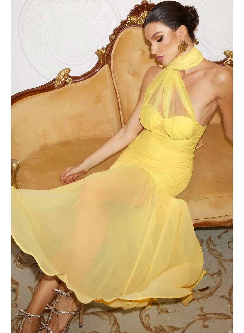 Bella Barnett  Ulasa Sleeveless Ruched Mesh Maxi Dress for Women | Best Price UAE