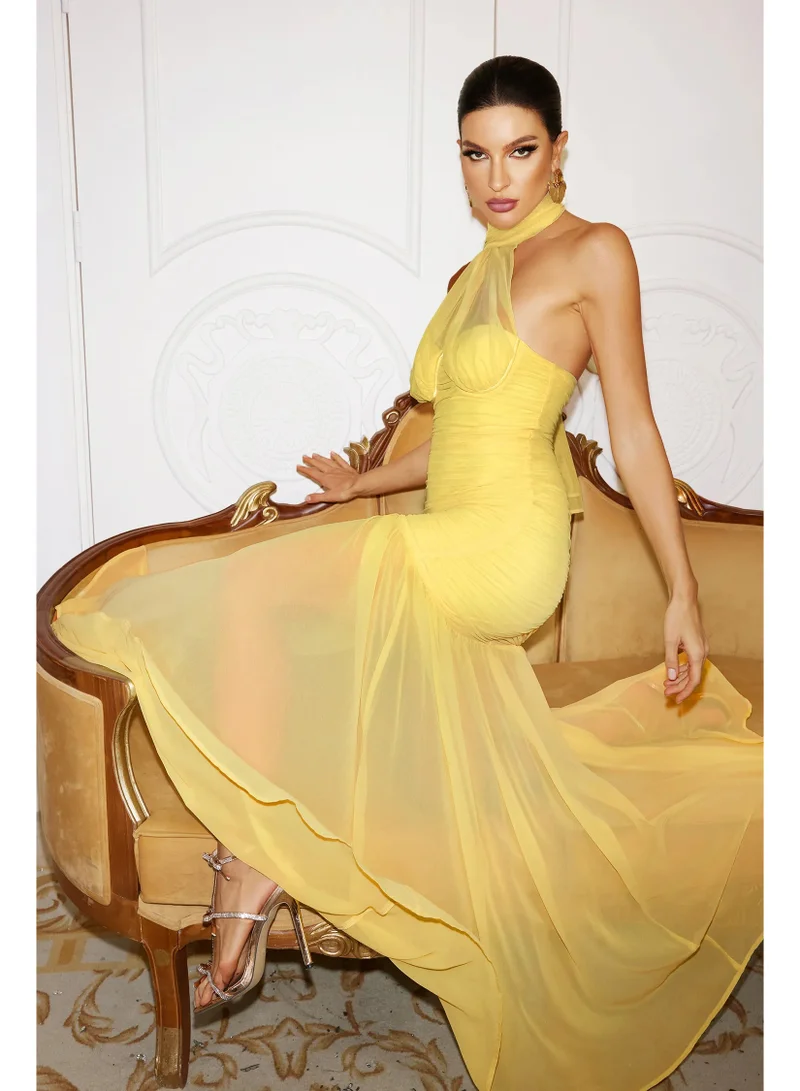 Bella Barnett  Ulasa Sleeveless Ruched Mesh Maxi Dress for Women | Best Price UAE