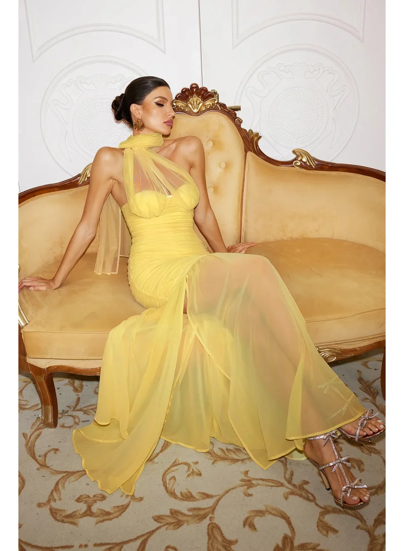 Bella Barnett  Ulasa Sleeveless Ruched Mesh Maxi Dress for Women | Best Price UAE