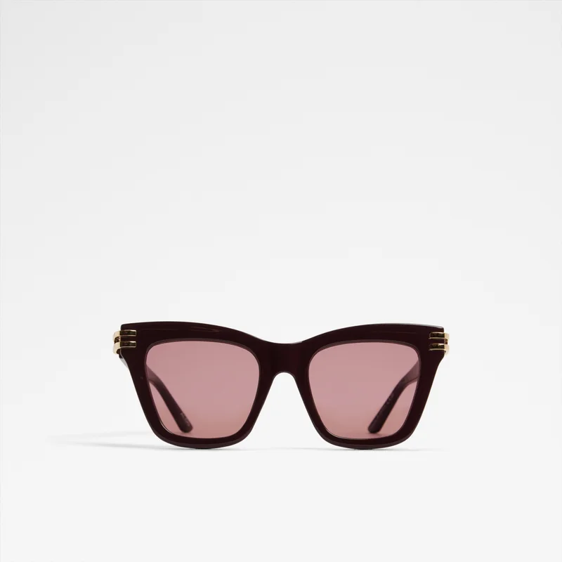 ALDO Collete Wayfarers Sunglasses