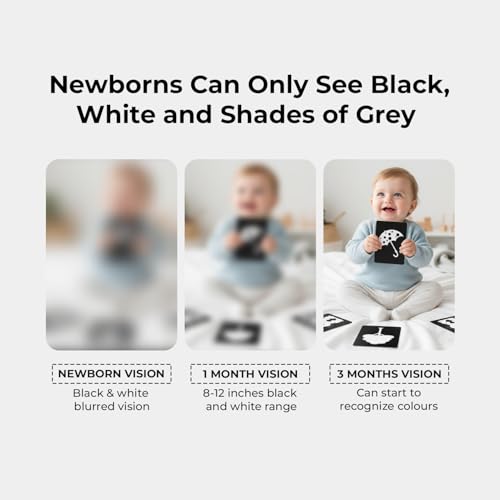 The Curious Bees - High Contrast New Born Anti-Glare Flash Cards | 36 Objects for Visual Stimulation, Cognitive & Sensory Development of 0-6 Month Old Infants - Image 5
