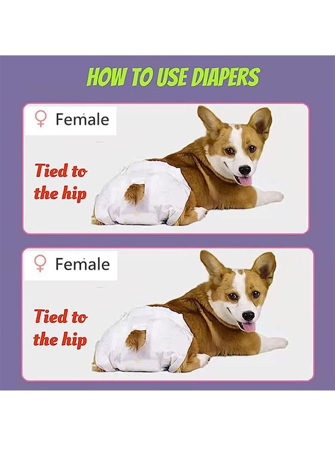 Generic Disposable Pet Diapers for Dogs Pet Doggy Soft Diapers Super Absorbent Disposable Leakproof Nappies (Female 10PCS L)  - Image 3