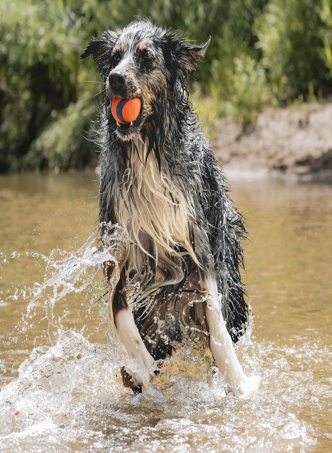 Chuckit! Ultra Ball Dog Toy - Size Large - For Dogs 60-100 lbs - Made from Durable Rubber - Super Bouncy - Floats in Water - 3-inch Diameter - Pack of 1 - Image 3