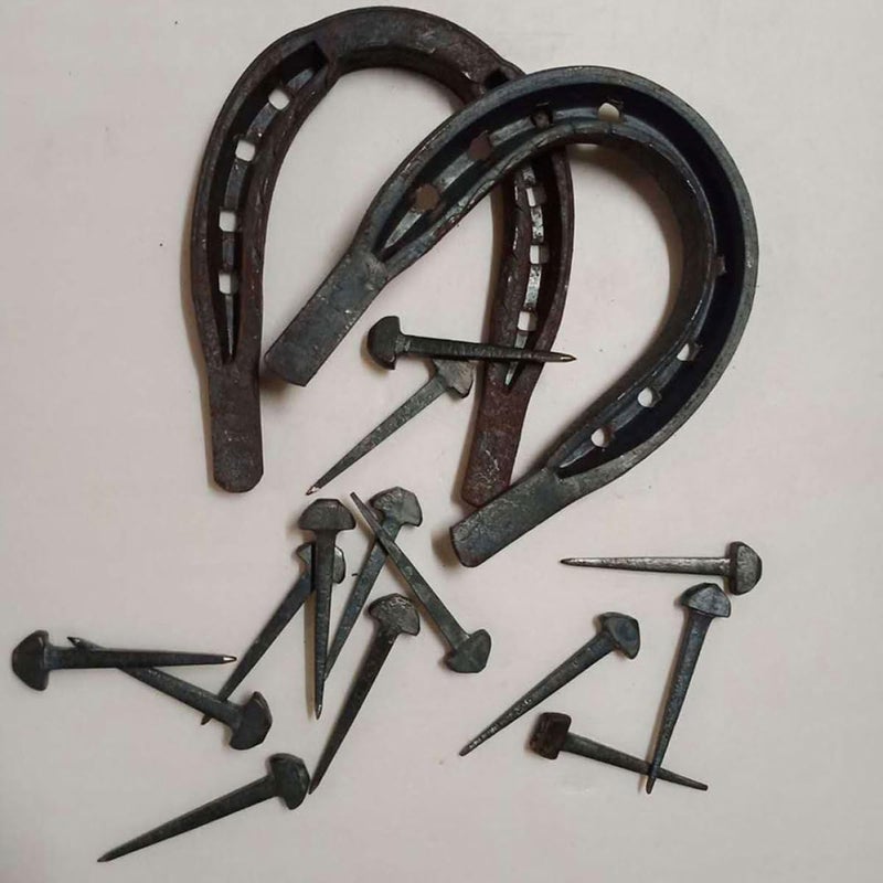 50pcs Iron Horseshoe Nails Sturdy Hoof Nails Stable Repair Tools for Equestrian Horse Tack Farrier Supplies - Image 5