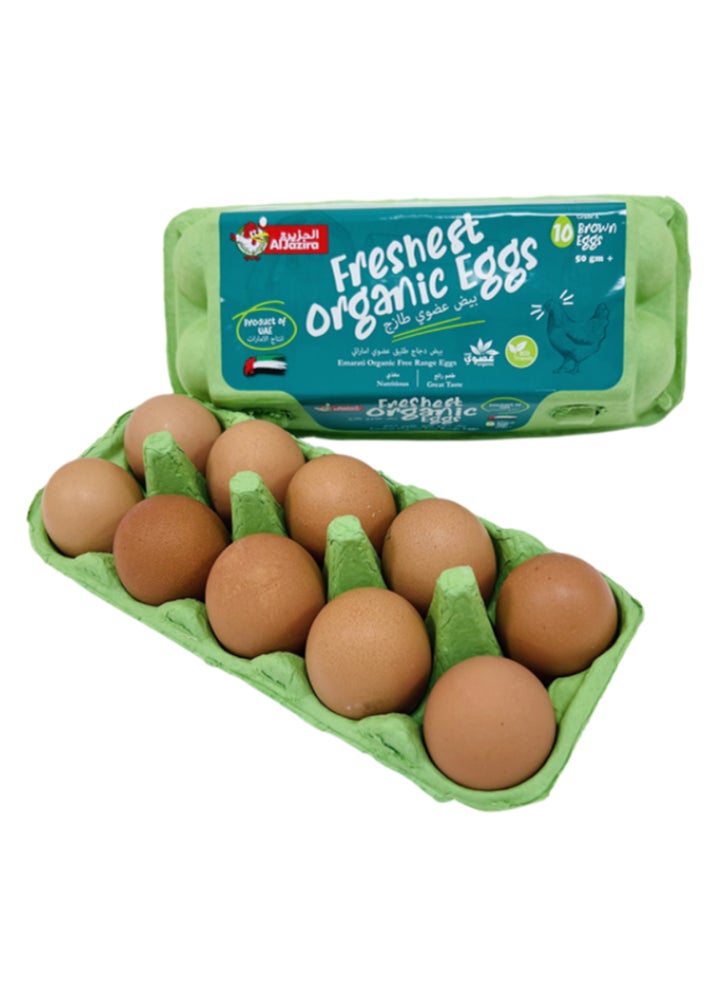 Organic Free Range Golden Eggs Brown Medium 10 Pieces