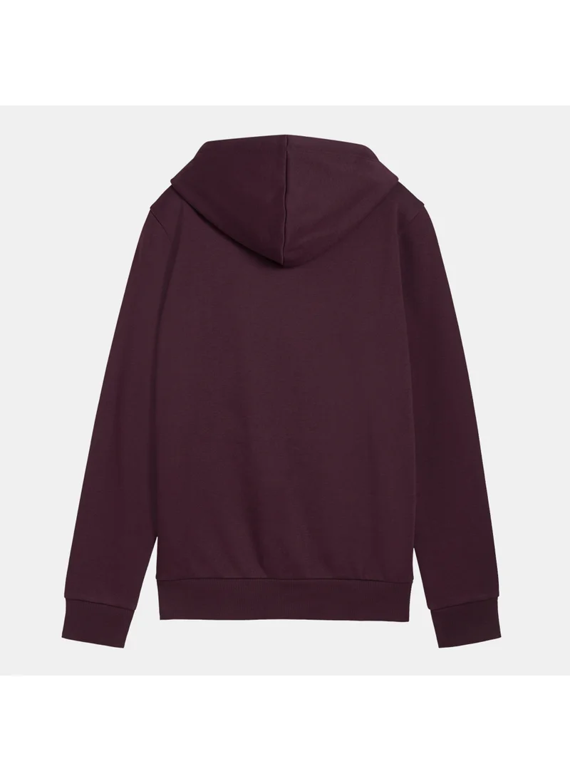 PUMA Women's Essentials+ Metallic Logo Hoodie