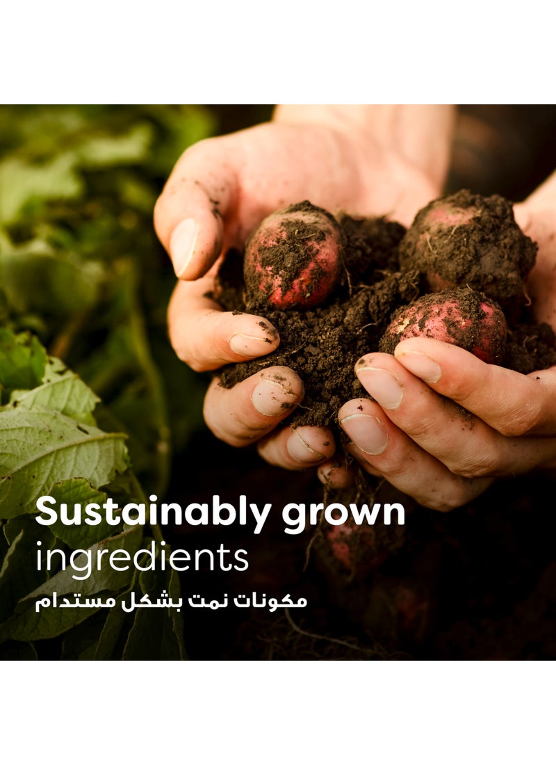 كنور علبة شوربة كوب آ سوب بكريمة الفطر مكونة من 4 أكياس None - Image 3