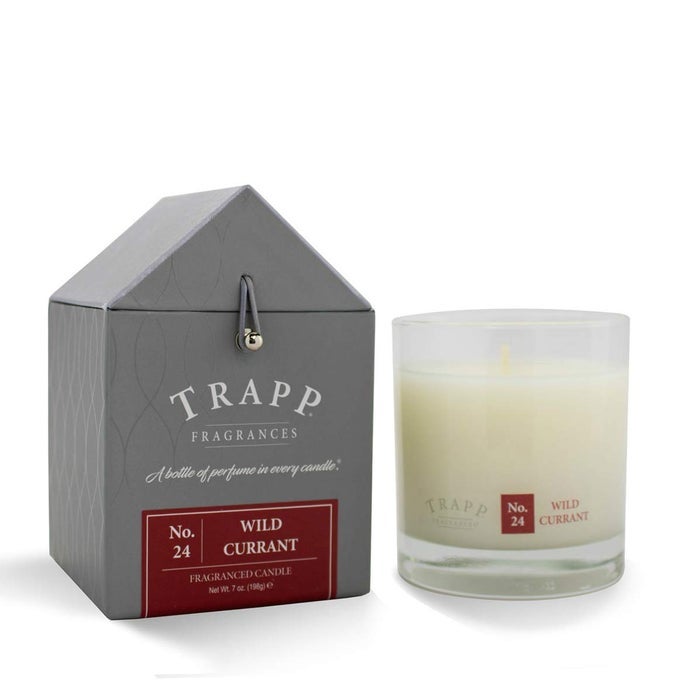 Signature Home Collection No 24 Wild Currant Poured Scented Candle 7Ounce