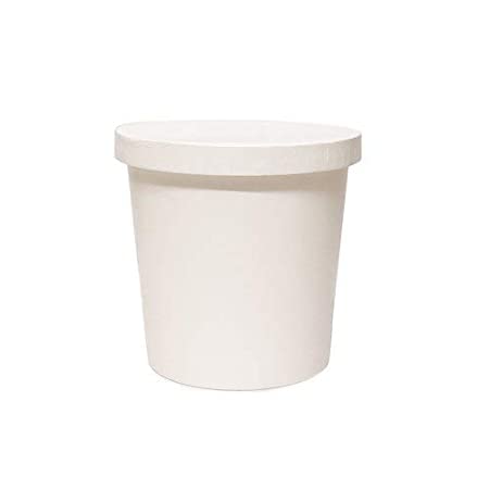 SANWALSA [1000 ml, 10 Count, White Disposable Bagasse Paper Container with Lid | Eco-Friendly Bowl/Tub for Picnic, Travel, Food Truck | Ideal for Both Hot & Cold Food - Image 1