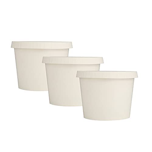 SANWALSA [1000 ml, 10 Count, White Disposable Bagasse Paper Container with Lid | Eco-Friendly Bowl/Tub for Picnic, Travel, Food Truck | Ideal for Both Hot & Cold Food - Image 5