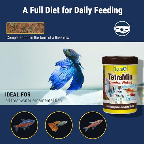 TetraMin Nutritionally Balanced Tropical Flake Food for Tropical Fish, 7.06 oz (pack of 1) - Image 4