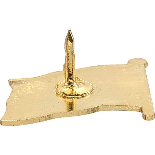 FindingKing USA Flag Lapel Pin Standard - Flag A-Series 3 with Longer Pole - Image 5