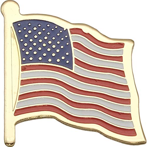 FindingKing USA Flag Lapel Pin Standard - Flag A-Series 3 with Longer Pole - Image 1
