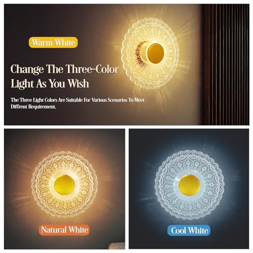Lamp master LumiRound 3 Color LED Acrylic Wall Light | Warm, Natural & Cool White Lighting | 9 Inch Decorative Round Lamp - Image 3
