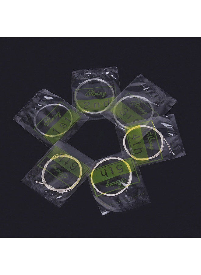 Generic - Oud Strings Set (G-D-A-E-B-F) Clear Nylon Silver-Plated Copper Alloy Wound 12-Strings - Image 1