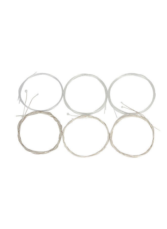 Generic - Oud Strings Set (G-D-A-E-B-F) Clear Nylon Silver-Plated Copper Alloy Wound 12-Strings - Image 1