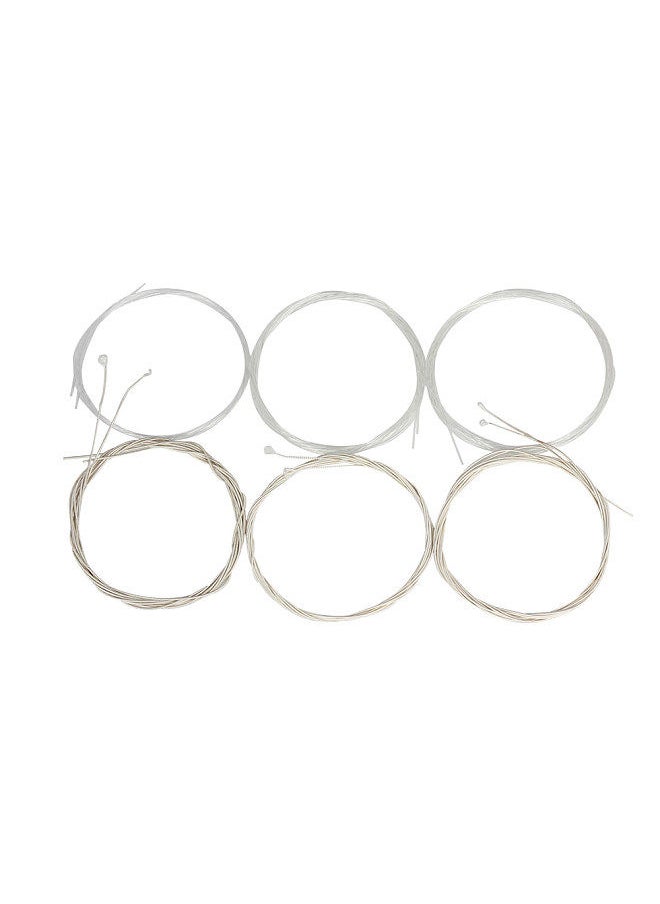 Generic - Oud Strings Set (G-D-A-E-B-F) Clear Nylon Silver-Plated Copper Alloy Wound 12-Strings - Image 1