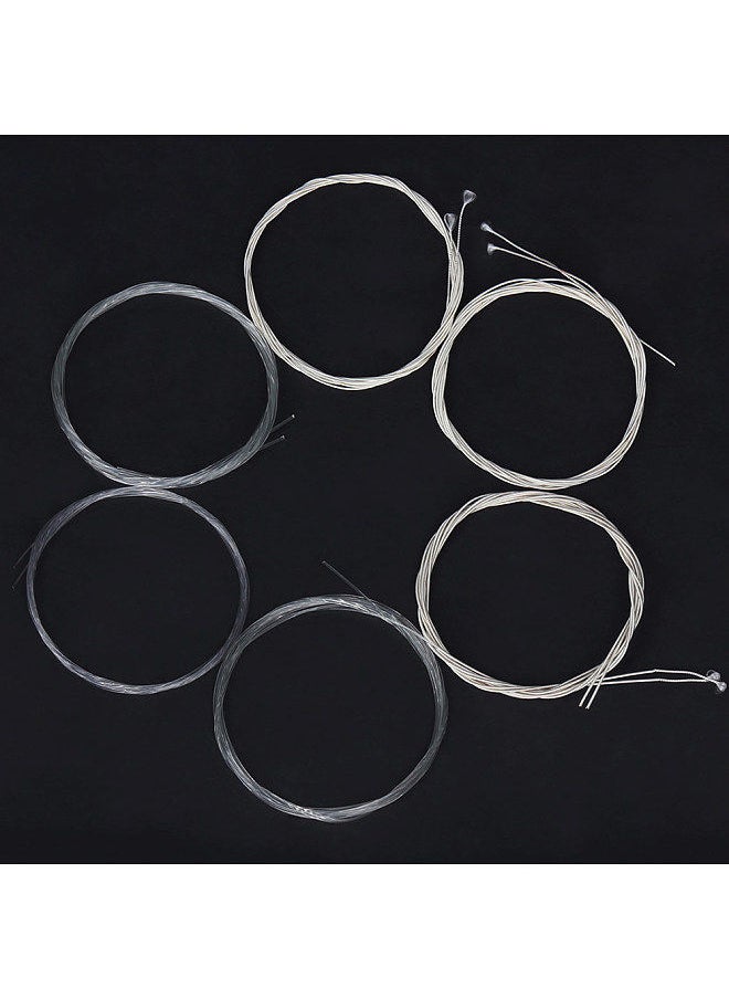 Generic - Oud Strings Set (G-D-A-E-B-F) Clear Nylon Silver-Plated Copper Alloy Wound 12-Strings - Image 1