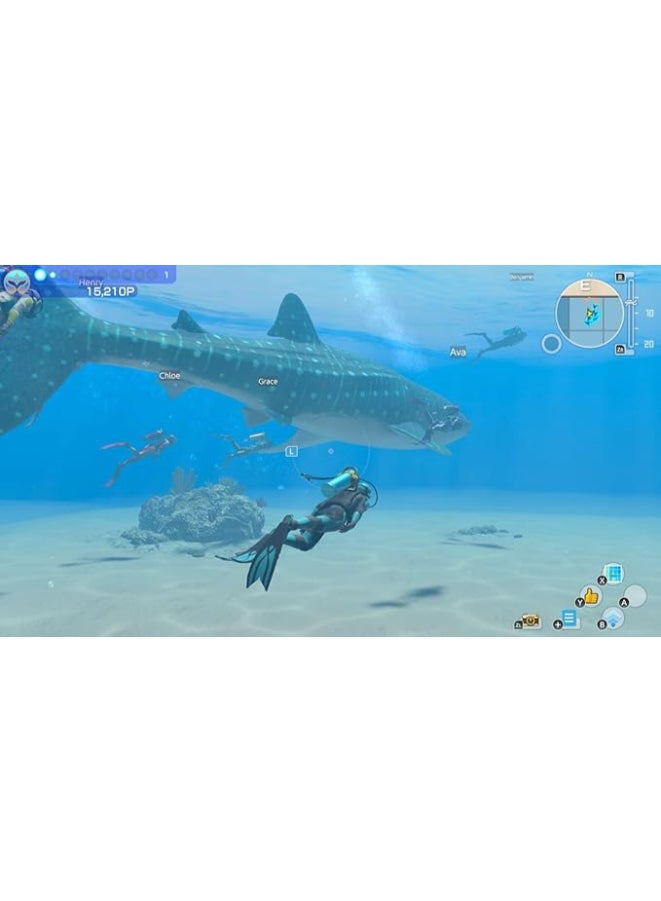 Nintendo Endless Ocean Luminous - Release Date: 2nd May 2024 - nintendo_switch - Image 3