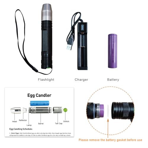 Powerful Professional LED Light Egg Candler Incubator Stainless Steel Tester for All Egg Type, Ultra Bright, Powered Portable, with Full Illustrated Egg Candling Guide (B- Include Batteries) - Image 2