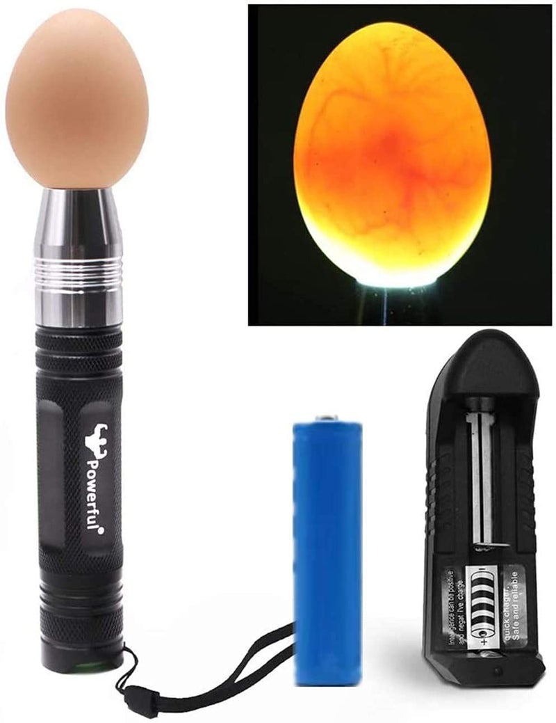 Powerful Professional LED Light Egg Candler Incubator Stainless Steel Tester for All Egg Type, Ultra Bright, Powered Portable, with Full Illustrated Egg Candling Guide (B- Include Batteries) - Image 1