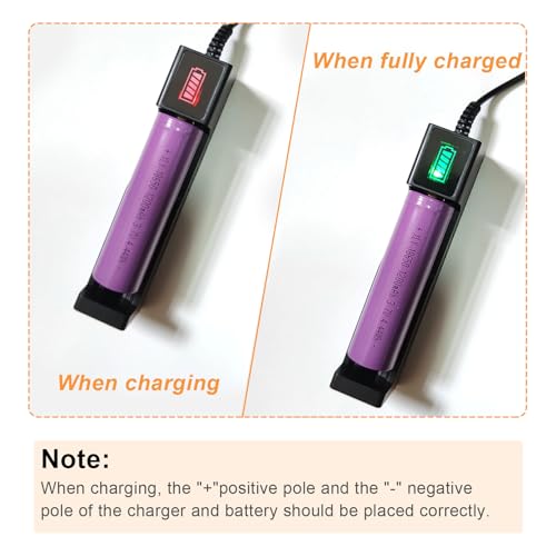 Powerful Professional LED Light Egg Candler Incubator Stainless Steel Tester for All Egg Type, Ultra Bright, Powered Portable, with Full Illustrated Egg Candling Guide (B- Include Batteries) - Image 4