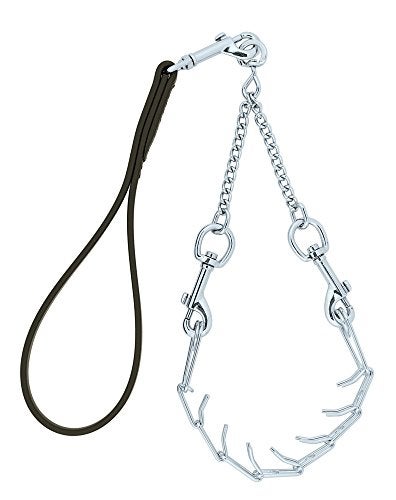 Weaver Leather Livestock Pronged Chain Goat Collar and Lead Set,Red - Image 2