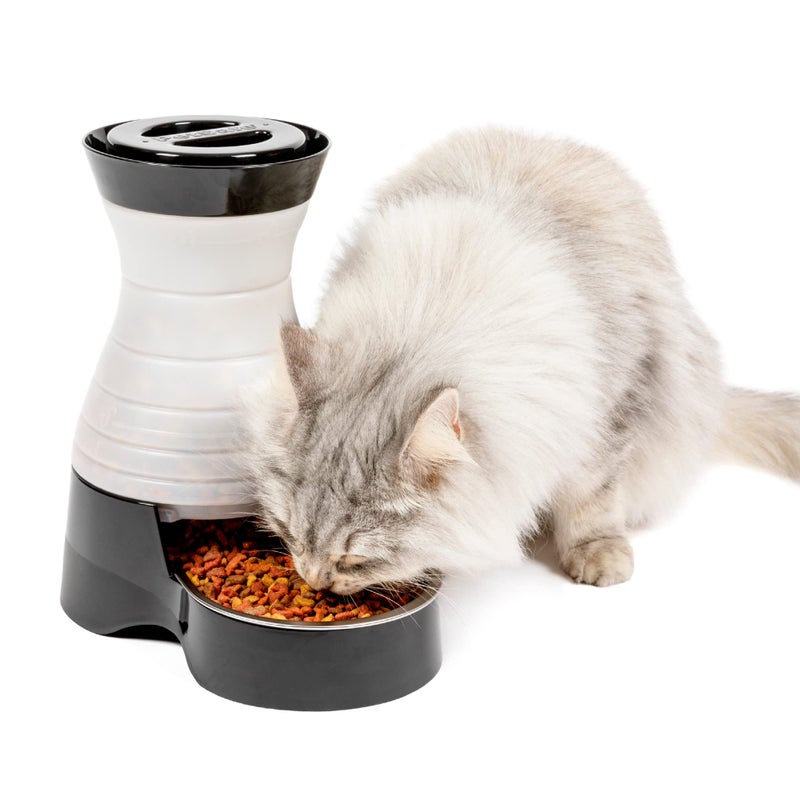 PetSafe Healthy Pet food Station - Automatic Indoor Gravity Cat & Dog Feeder - Space-Saving Self Feeder - Easy to Clean - Small - Up to 2 lb Kibble Capacity - Image 1