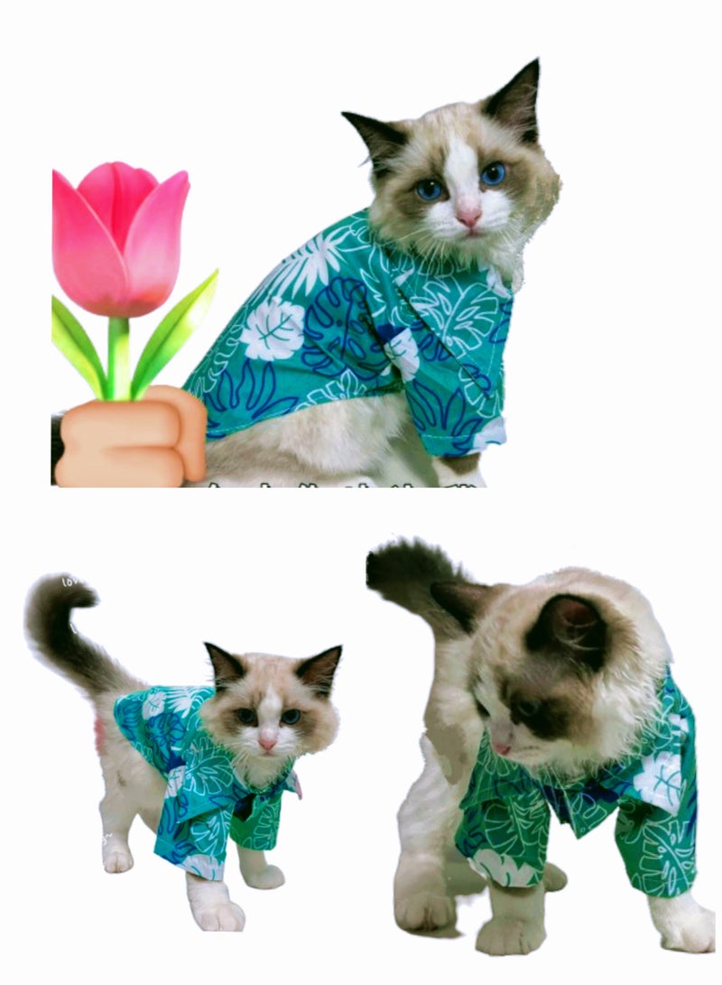 A.M Kitten Summer Beach Shirt - Image 1