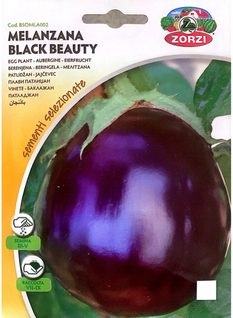 ZORZI MELANZANA Black Beauty Seeds - Image 1