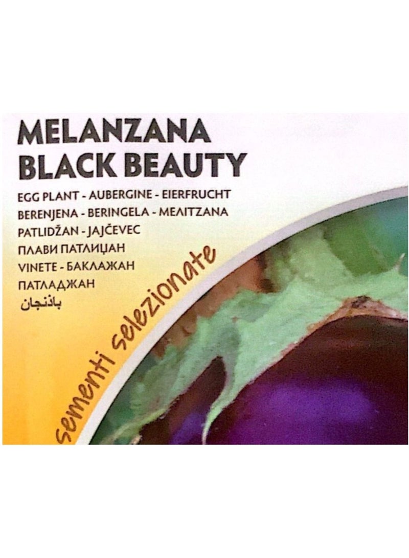 ZORZI MELANZANA Black Beauty Seeds - Image 2