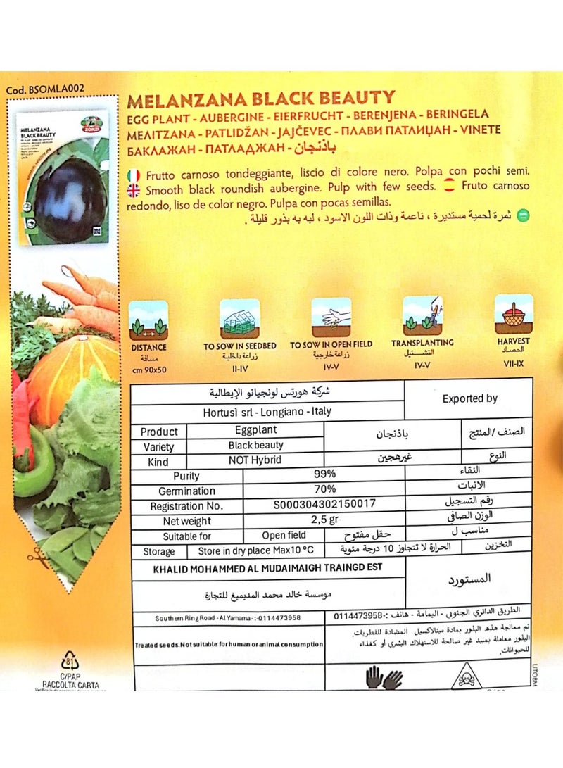 ZORZI MELANZANA Black Beauty Seeds - Image 3