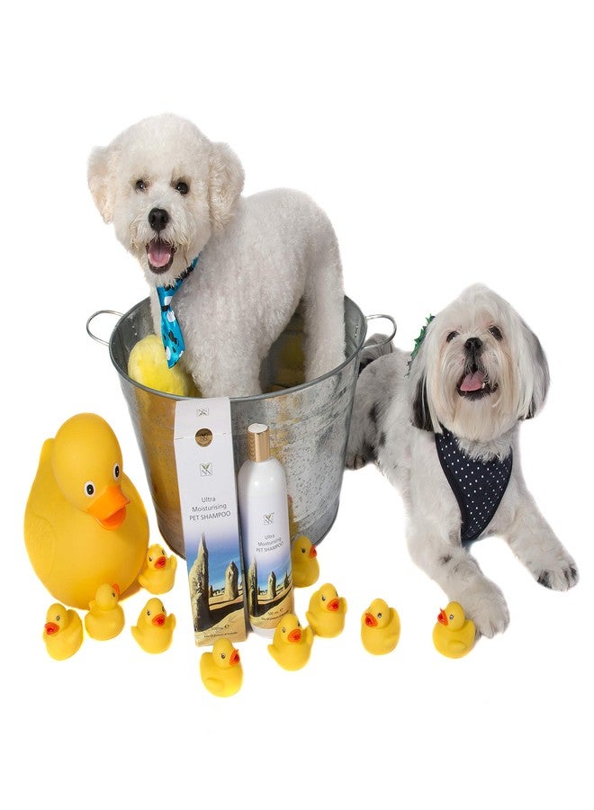 واي نوت ناتشورال شامبو واي نوت ناتشورال فائق الترطيب للحيوانات الأليفة - Image 3