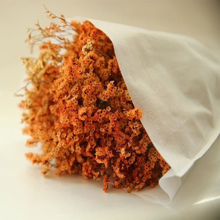 Bluejw HFlora Preserved Dried Flower Crystal Grass with Steam – Long-Lasting Dried Plants Bouquet for Valentine's Day, Romantic Gift Ready - Image 1