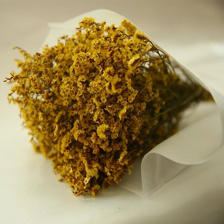 Bluejw HFlora Preserved Dried Flower Crystal Grass with Steam – Long-Lasting Dried Plants Bouquet for Valentine's Day, Romantic Gift Ready - Image 5