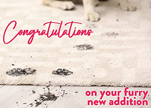 Glory To Dog Congratulations on Your Furry New Addition New Puppy Greeting Card - Image 1