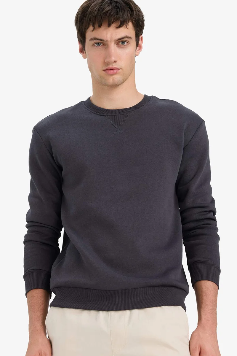 ديفاكتو Regular Fit Crew Neck Basic Thick Sweatshirt