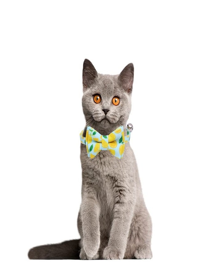 ميفنجدا ميفينغدا 5 قطع حمالات حفاضات للكلاب، حمالات حفاضات قابلة للتعديل للذكور والإناث، حافظة حفاضات للحيوانات الأليفة، ملابس حيوانات أليفة للكلاب الصغيرة (مختلطة) - Image 2